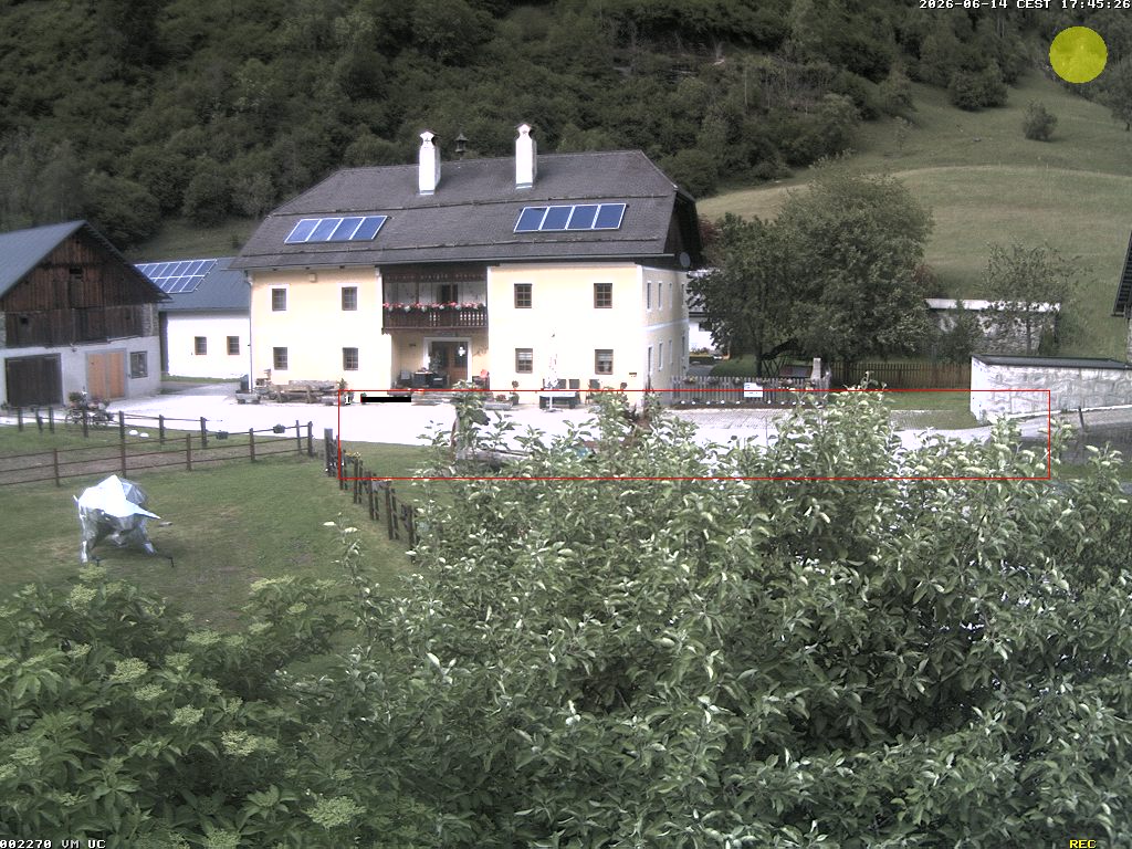 Camera Live Image