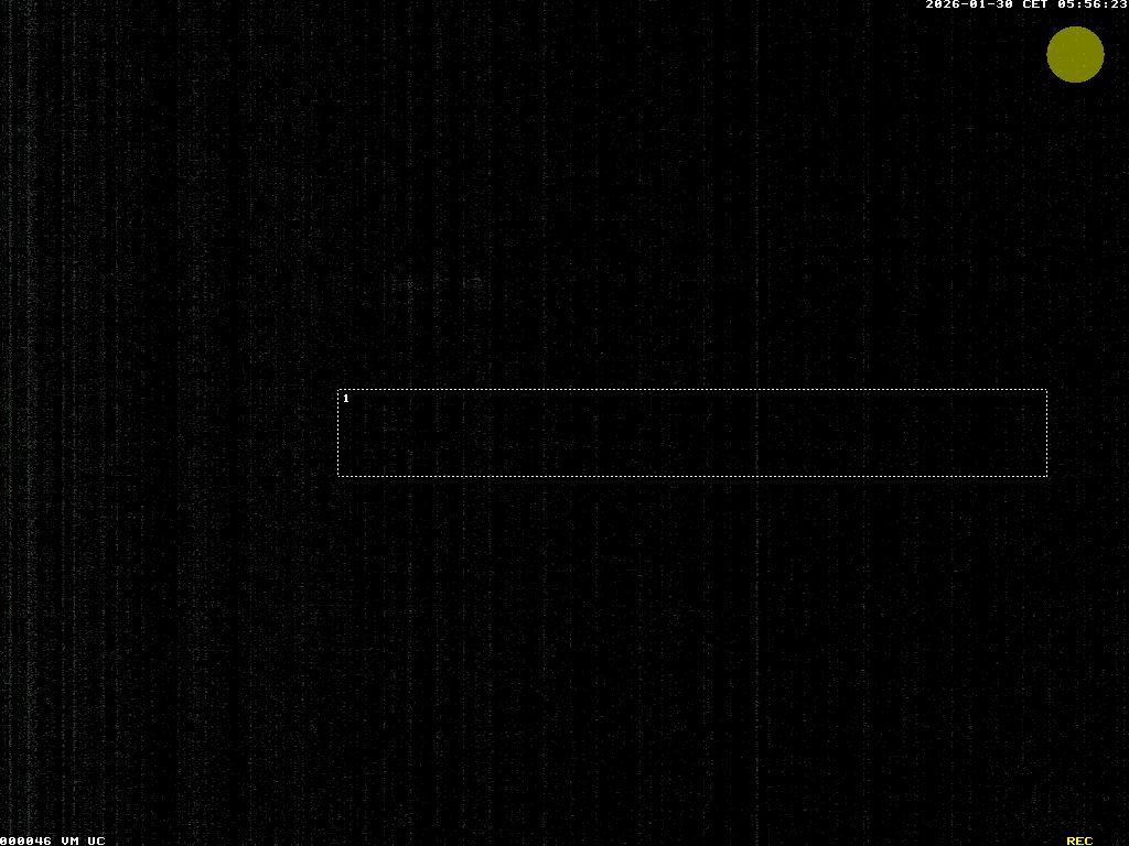 Camera Live Image