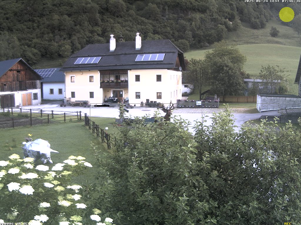 Camera Live Image