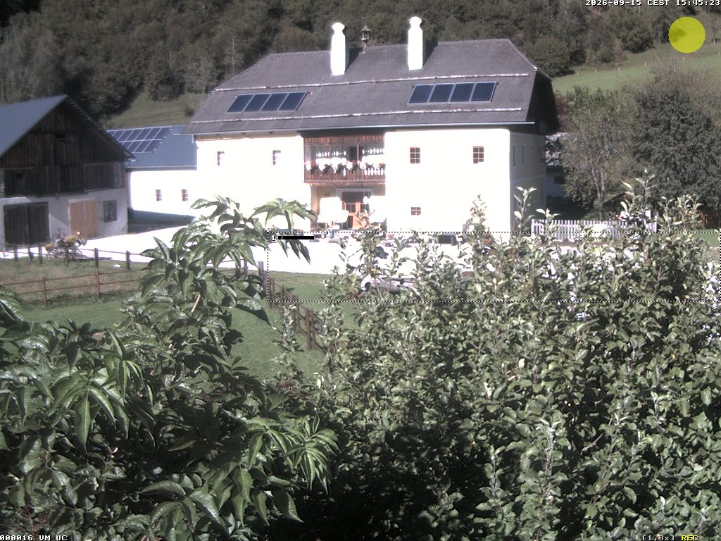 Camera Live Image