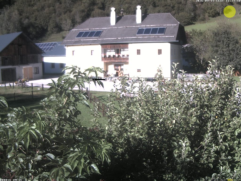 Camera Live Image